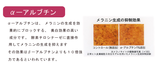 a-アブルチン